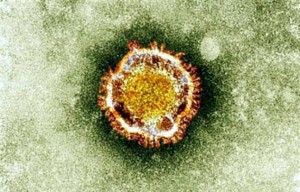 648x415 image agence britannque protection sante montrant coronavirus miscroscope 300x192 Deux cas mortels de coronavirus MERS ont été enregistrés en Corée du Sud